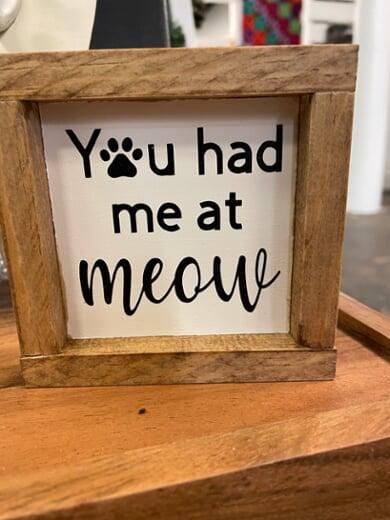 You Had Me at Meow